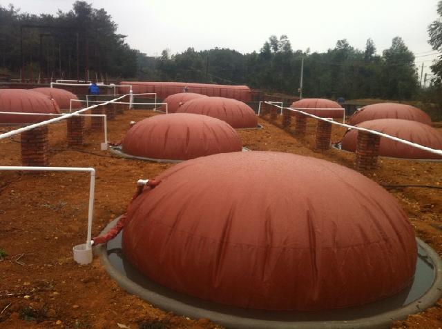 為什么沼氣池在使用時卻無法點(diǎn)燃? 為什么沼氣池在使用時卻無法點(diǎn)燃?